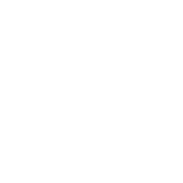 visual